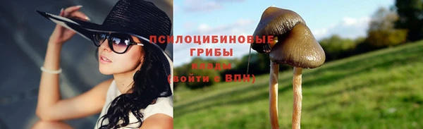 МДПВ Верхний Тагил