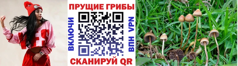 Галлюциногенные грибы мухоморы  Купить  Шенкурск 